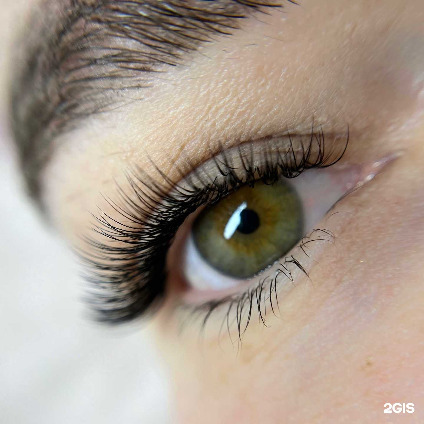 Отзывы на компанию Maya в Сыктывкаре c фото