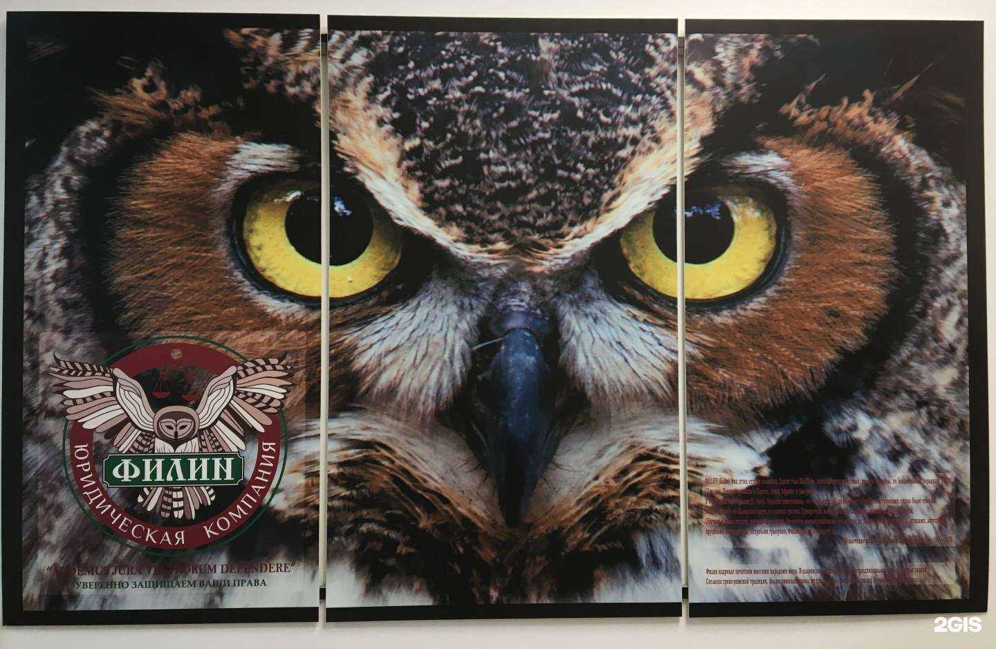 Отзывы на компанию Филин в Иркутске c фото