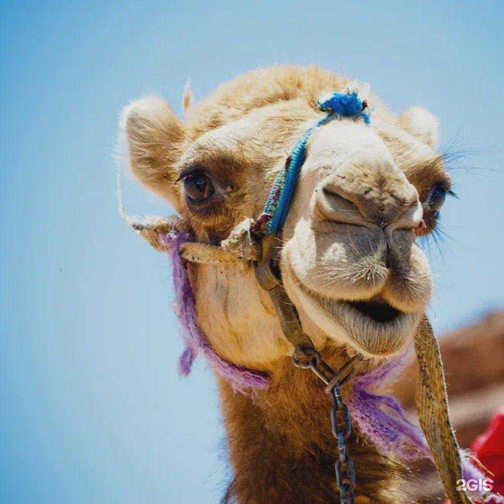 Отзывы на компанию Слетать.ру в Кыштыме c фото