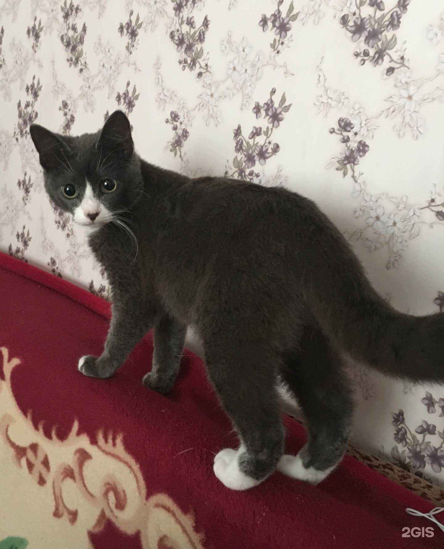 Отзывы на компанию Жизнь в Омске c фото