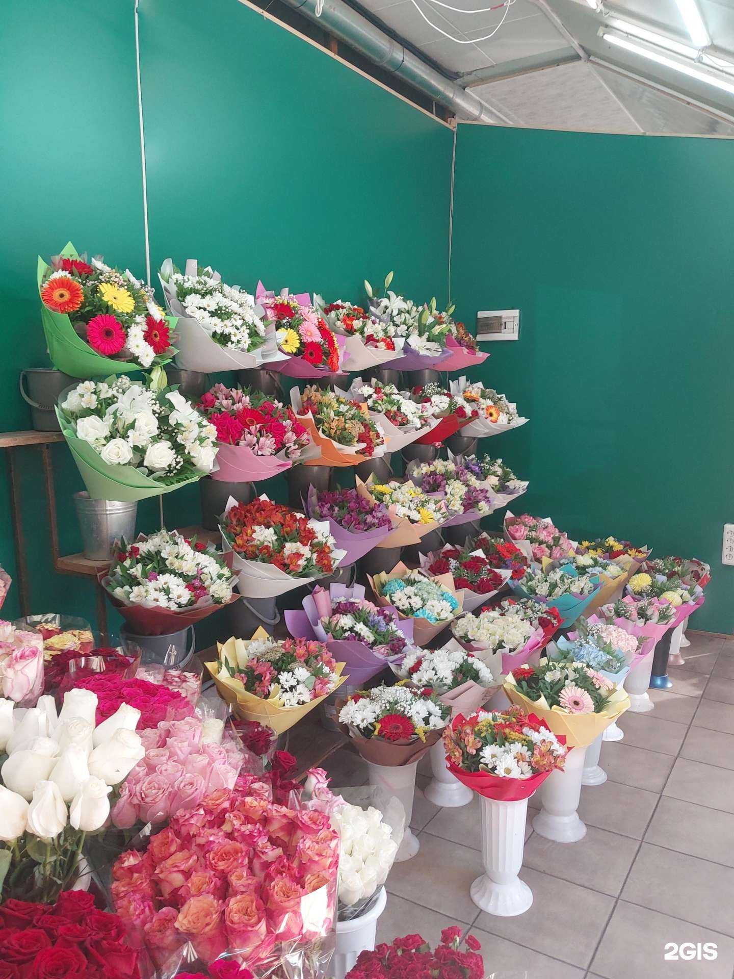 Отзывы на компанию Джем в Тольятти c фото