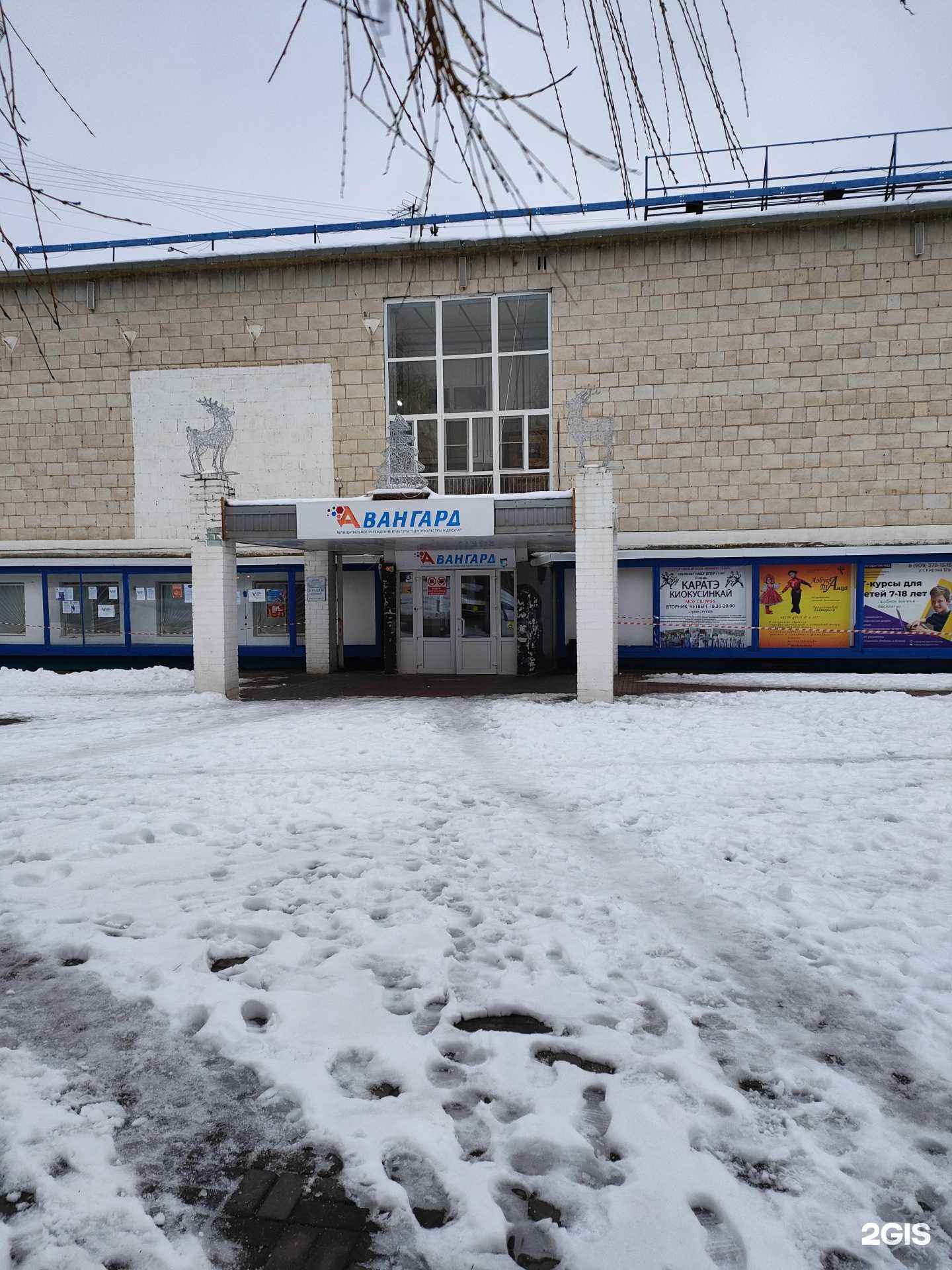 Отзывы на компанию Джади в Волгограде c фото