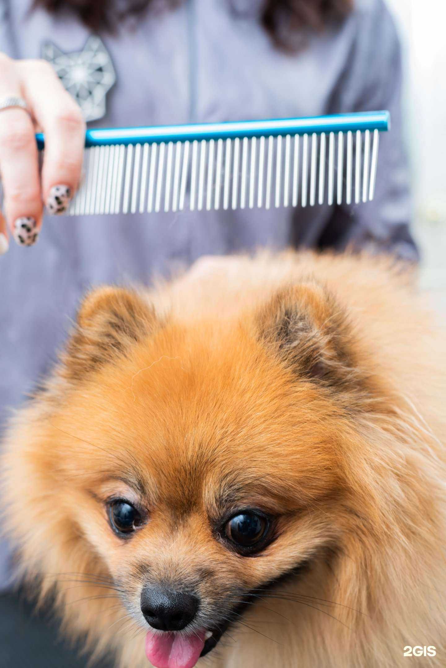 Отзывы на компанию ZooDiscount в Уфе c фото