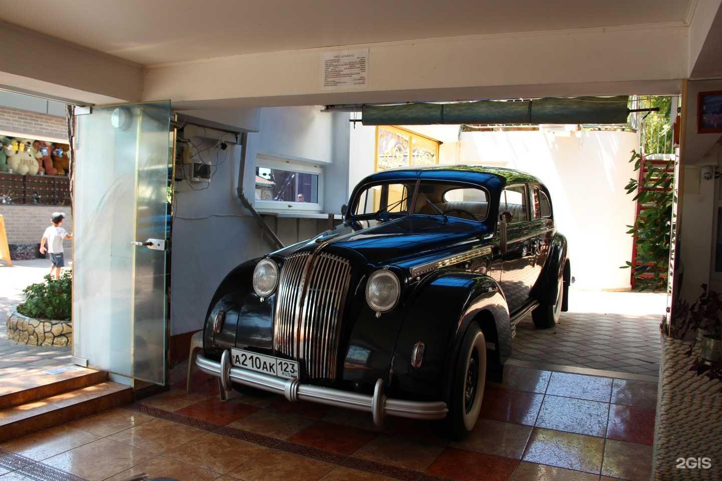 Отзывы на компанию Дельфин в г. Сочи c фото