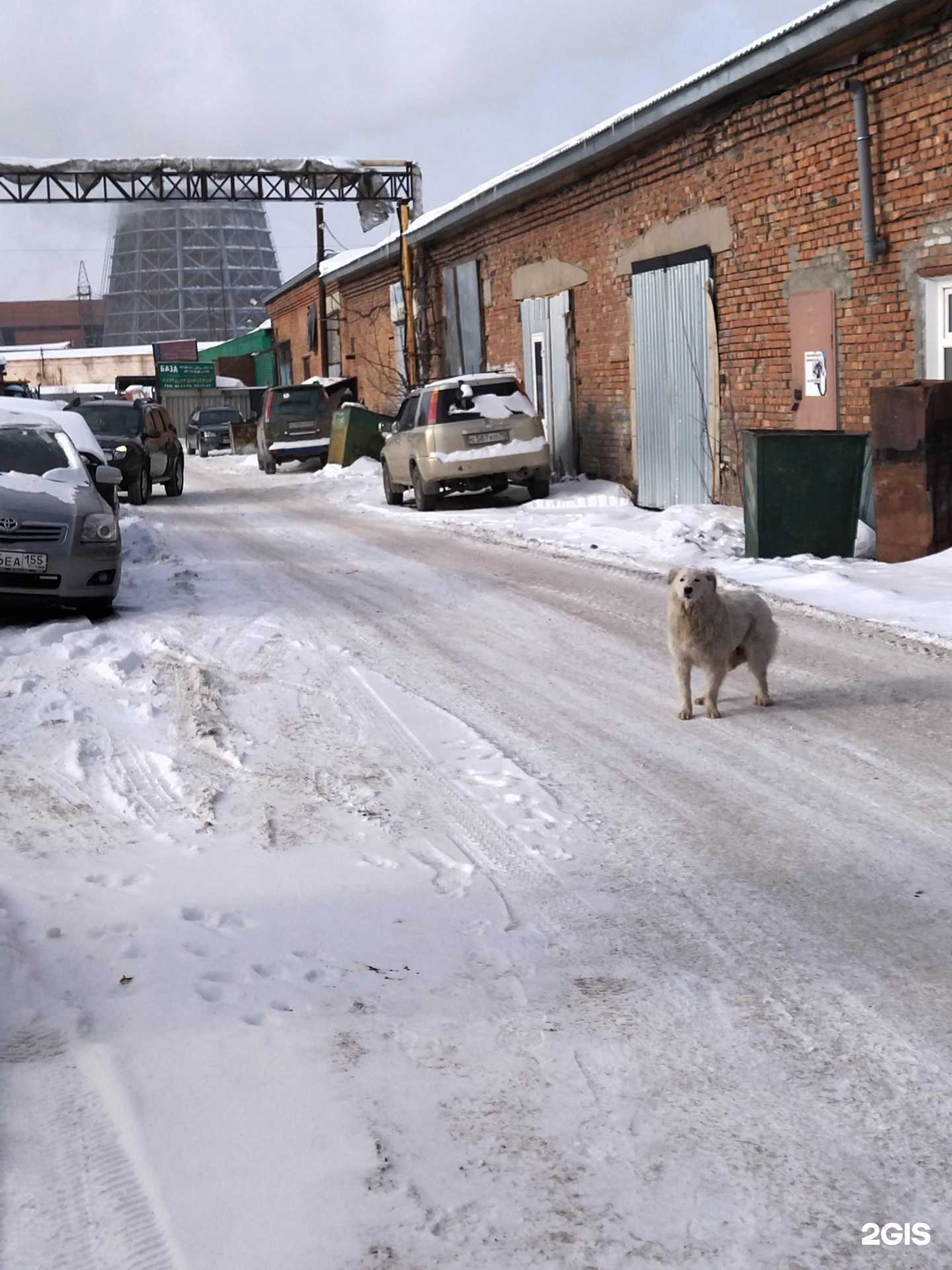Отзывы на компанию Авто-Тату в г. Томск c фото