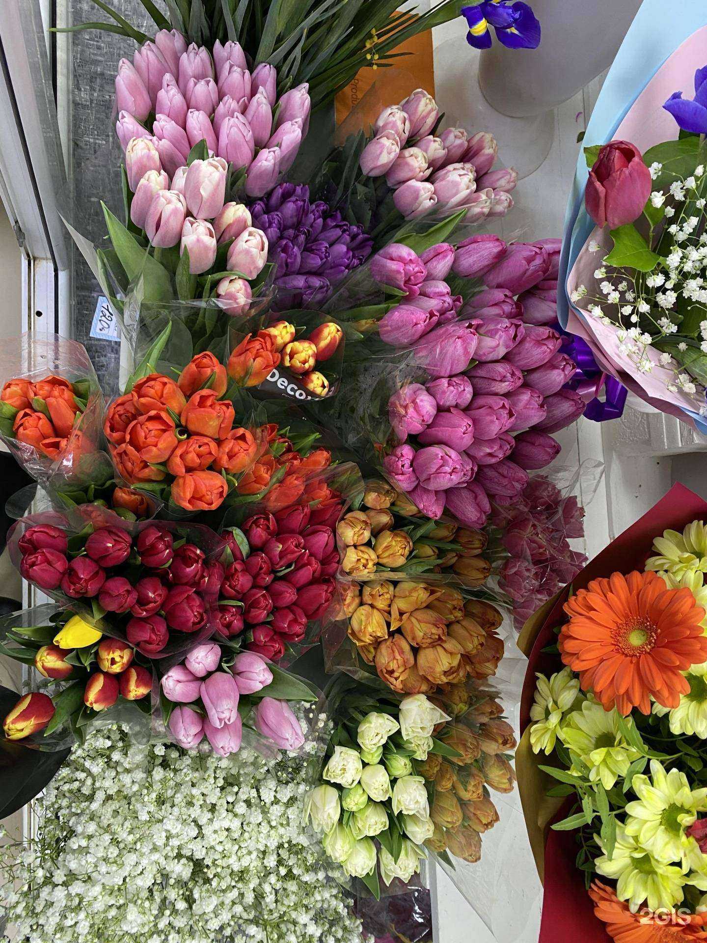 Отзывы на компанию Mesh len в г. Хабаровск c фото