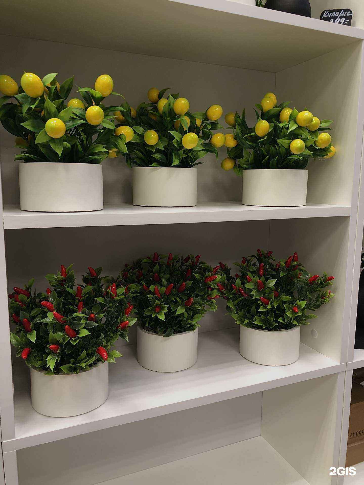 Отзывы на компанию VamDecor в Сыктывкаре c фото