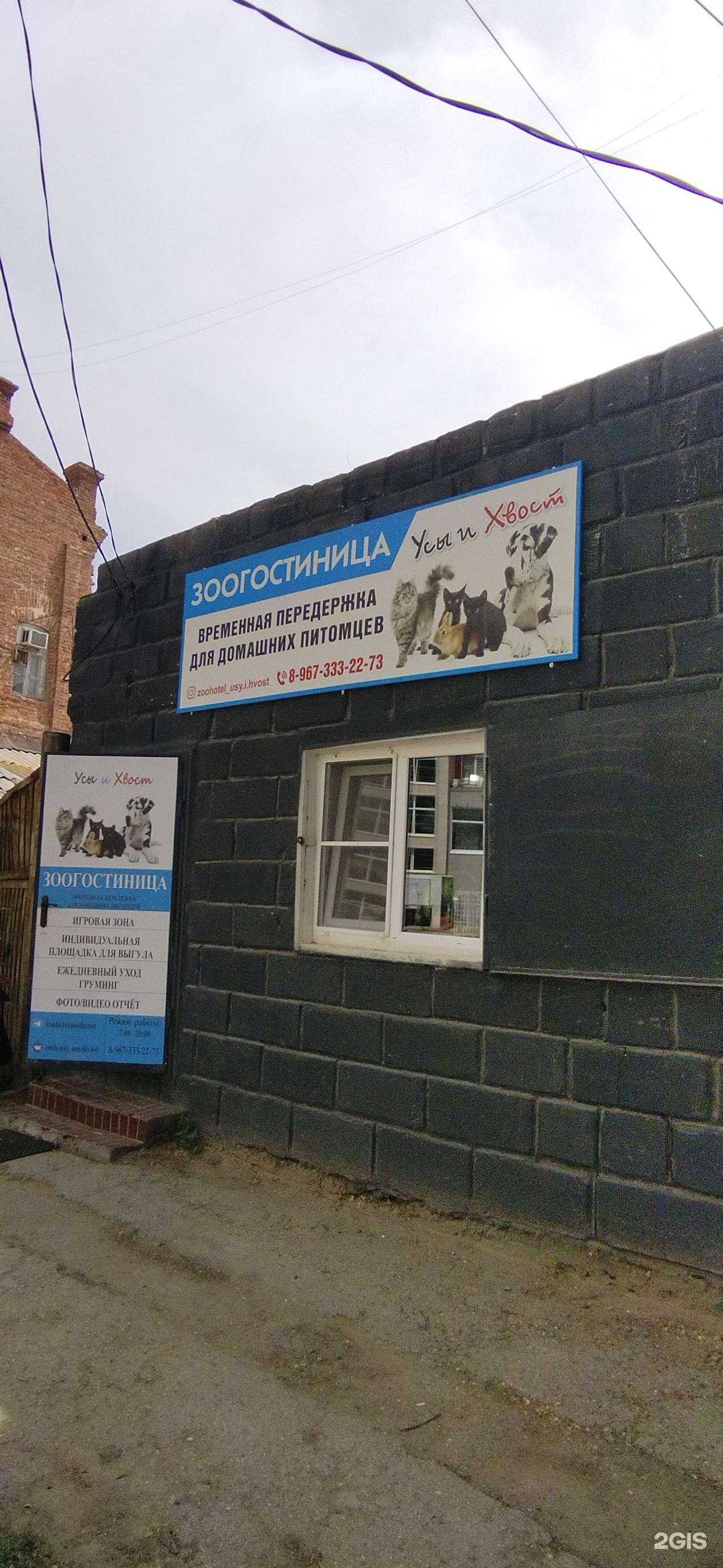 Отзывы на компанию Усы и Хвост в Астрахани c фото - фотография 2 из 2