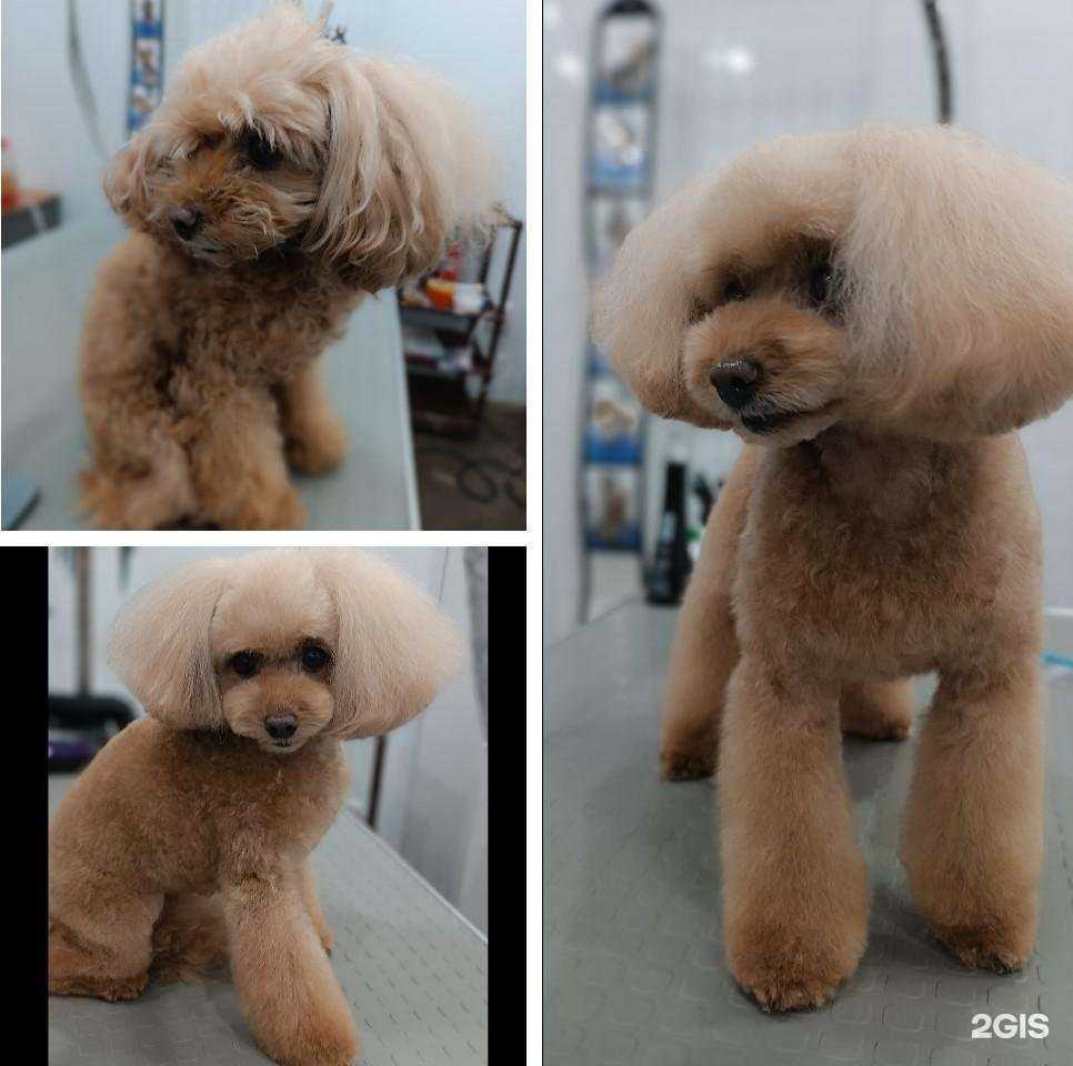 Отзывы на компанию Татошка в Ростове-на-Дону c фото