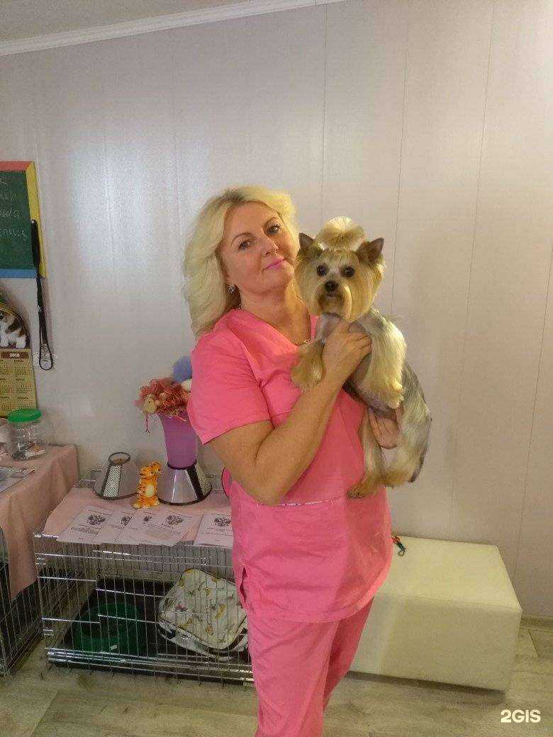 Отзывы на компанию Зоостудия в г. Калуга c фото