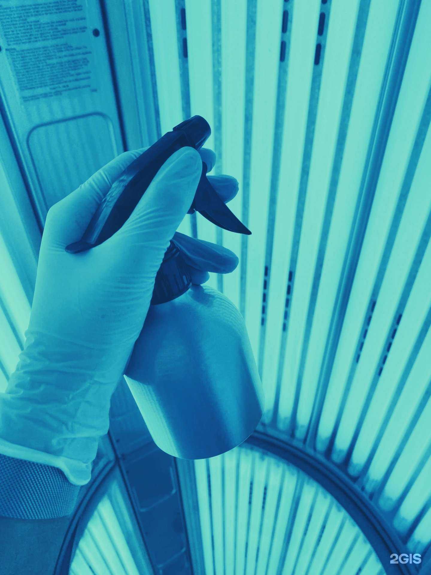 Отзывы на компанию Черника в Йошкар-Оле c фото