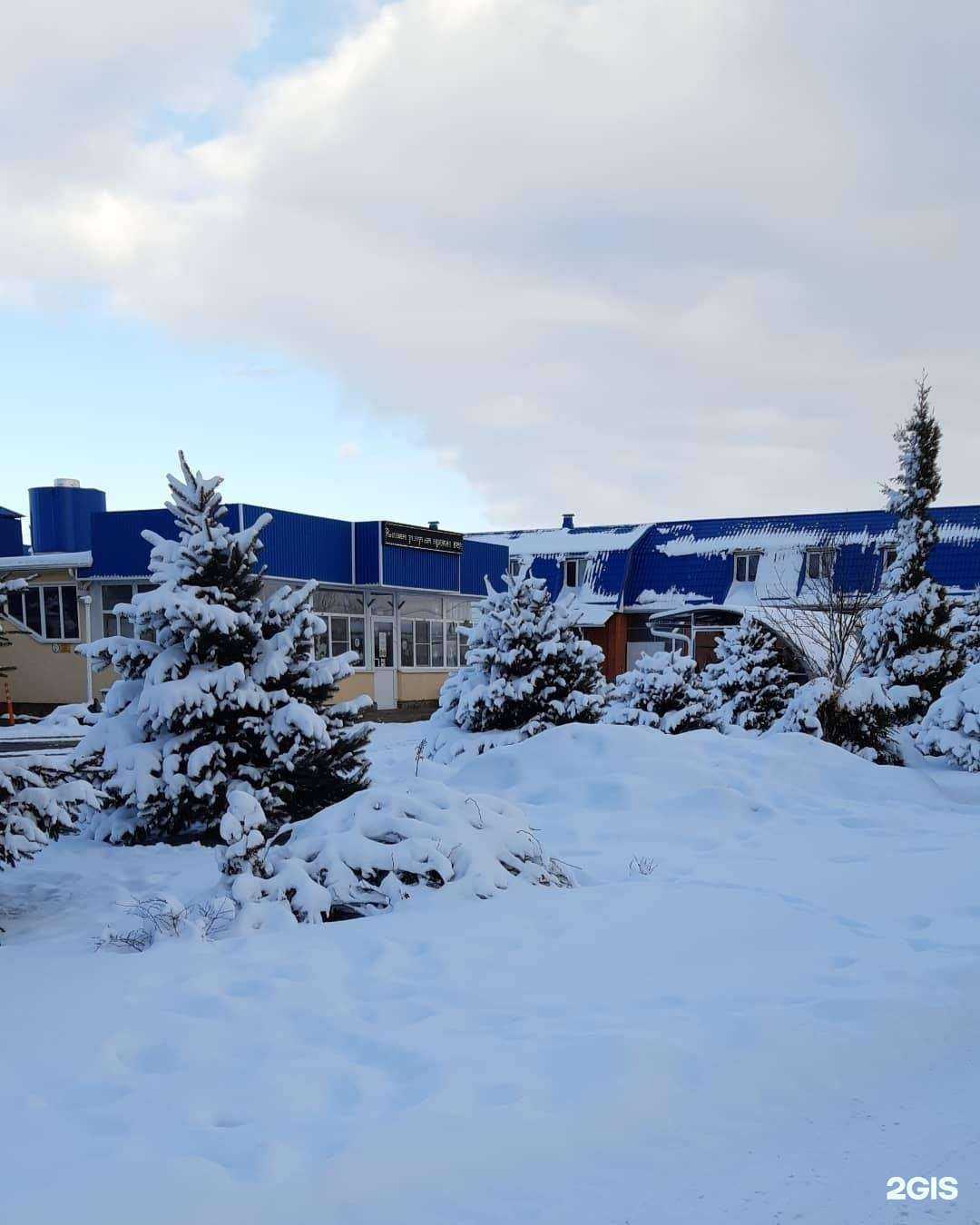 Отзывы на компанию Профтур в Элисте c фото