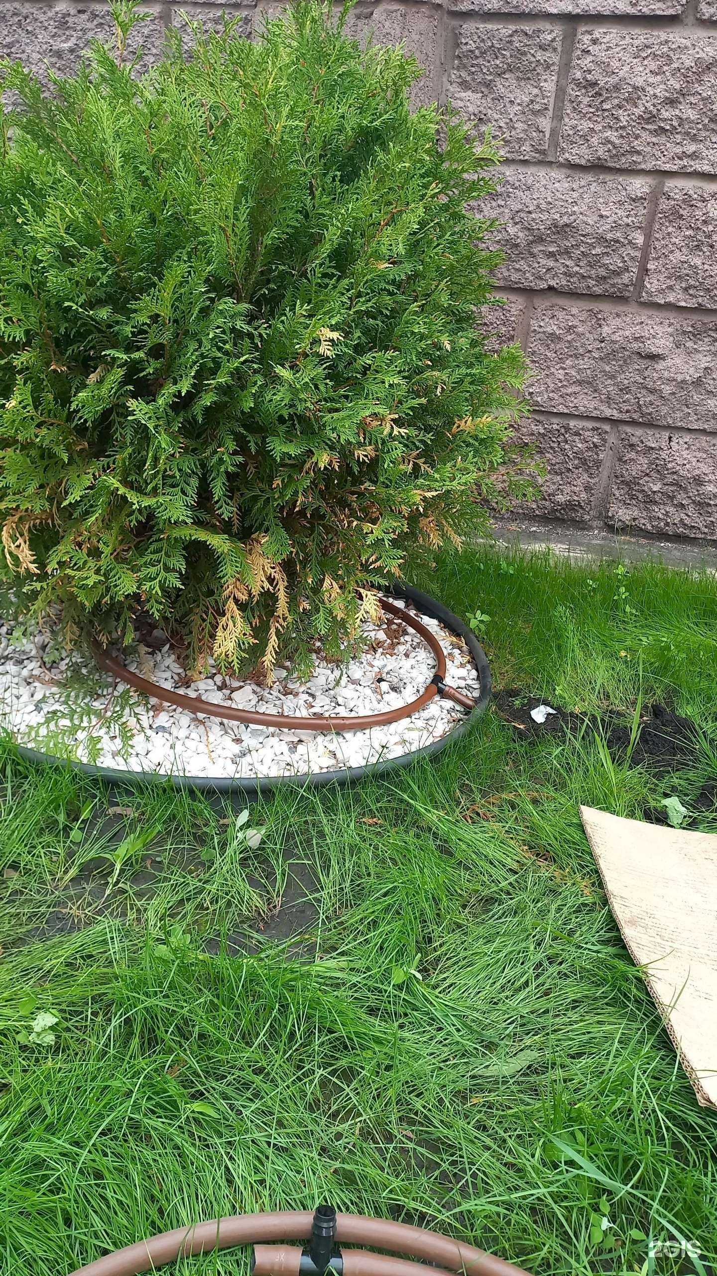 Отзывы на компанию Умный полив в г. Красноярск c фото