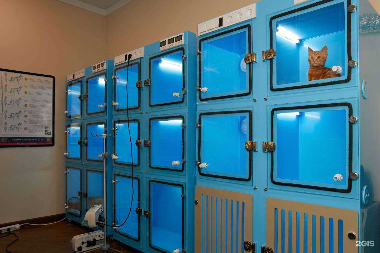 Отзывы на компанию Триас в Ростове-на-Дону c фото