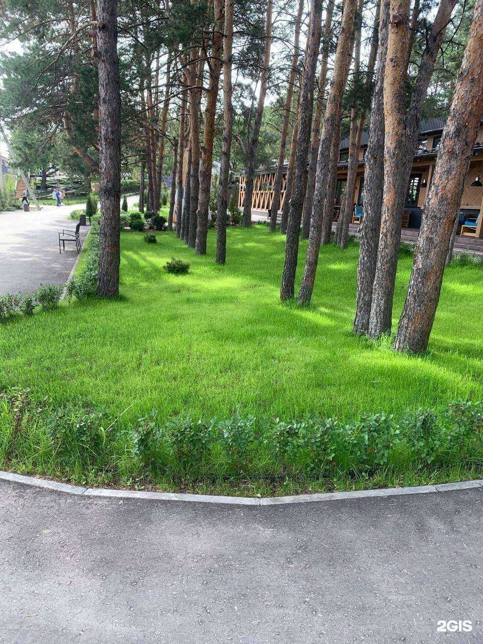 Отзывы на компанию Гринлаб в г. Самара c фото