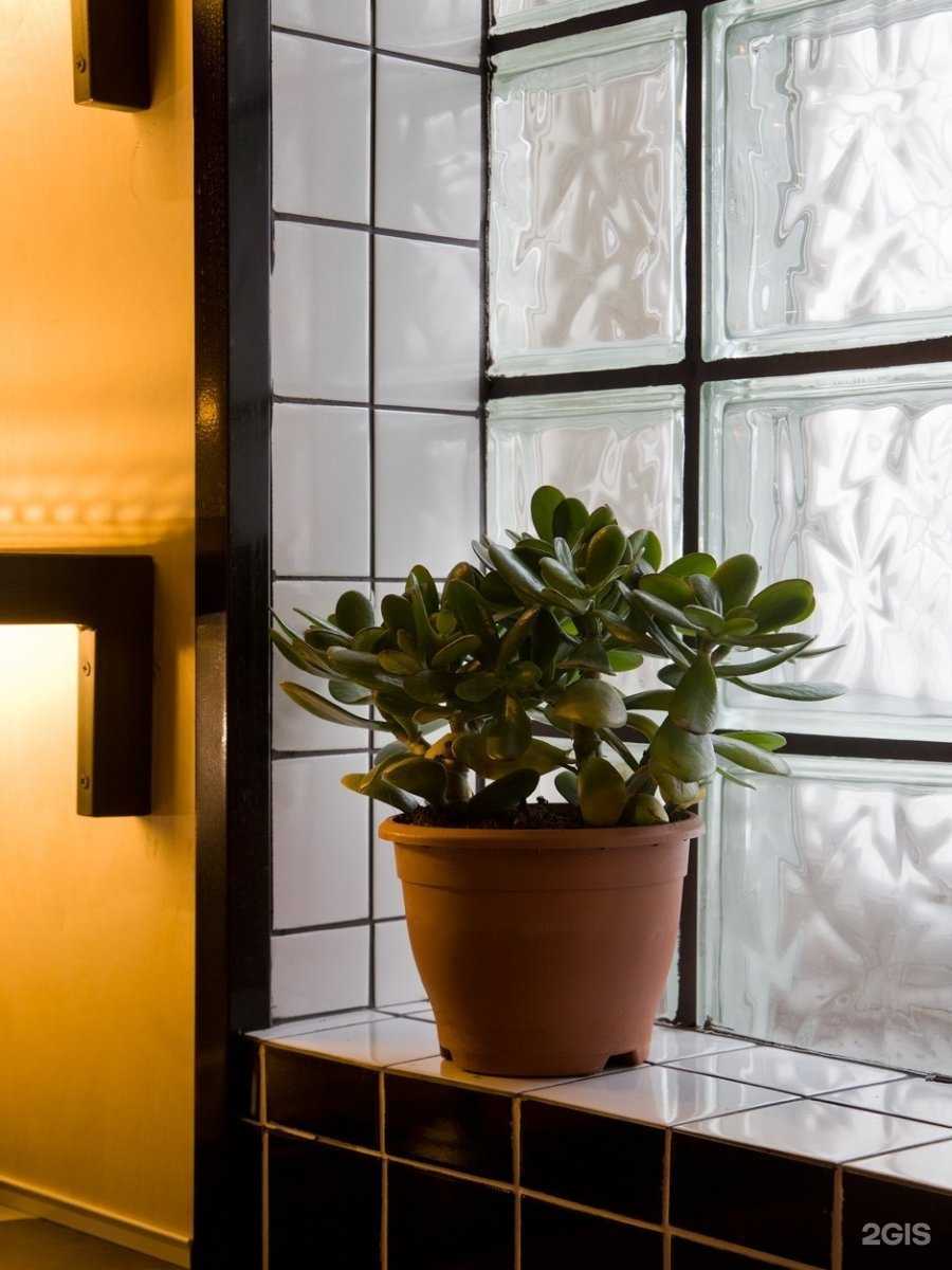 Отзывы на компанию Коллектив в г. Екатеринбург c фото