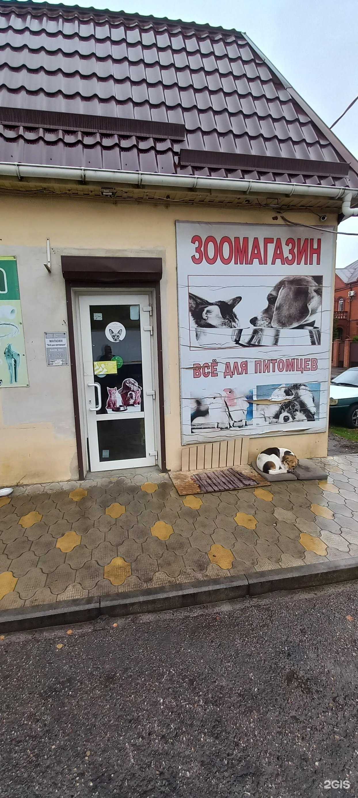 Отзывы на компанию Все для питомцев в г. Краснодар c фото