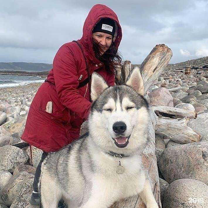 Отзывы на компанию Север в Мурманске c фото