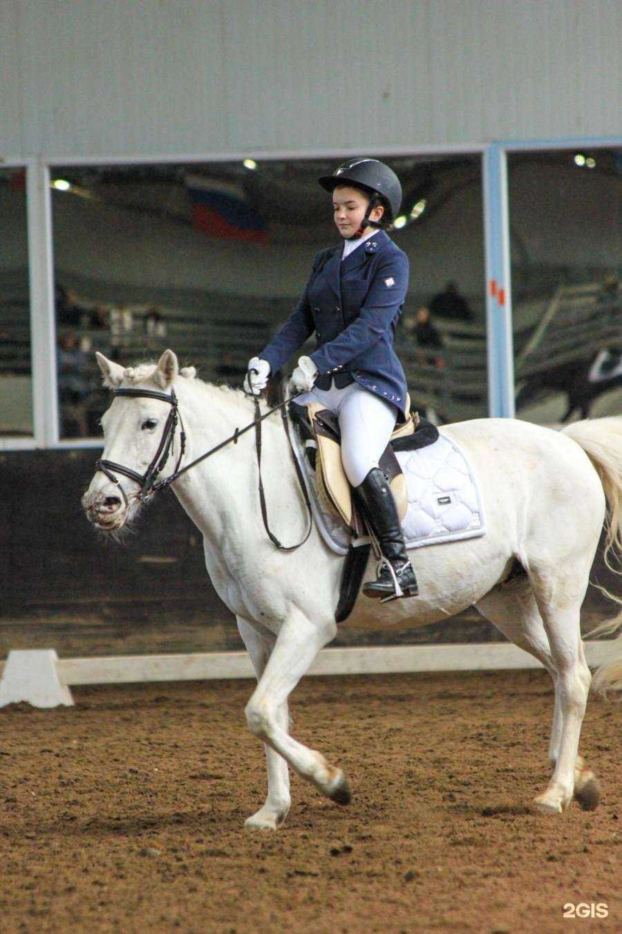 Отзывы на компанию Спортивная школа по конному спорту в Екатеринбурге c фото