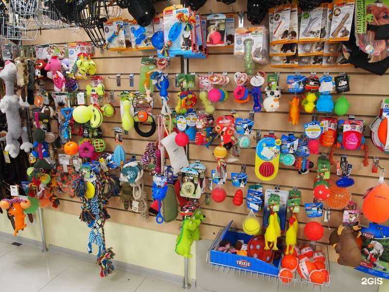 Отзывы на компанию Дог сити в Екатеринбурге c фото