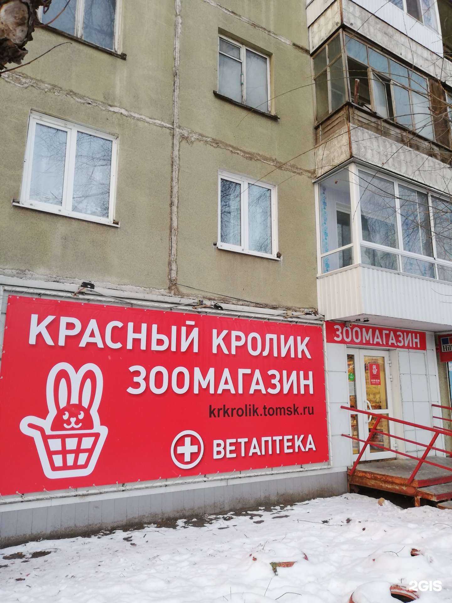 Отзывы на компанию Красный кролик в Томске c фото