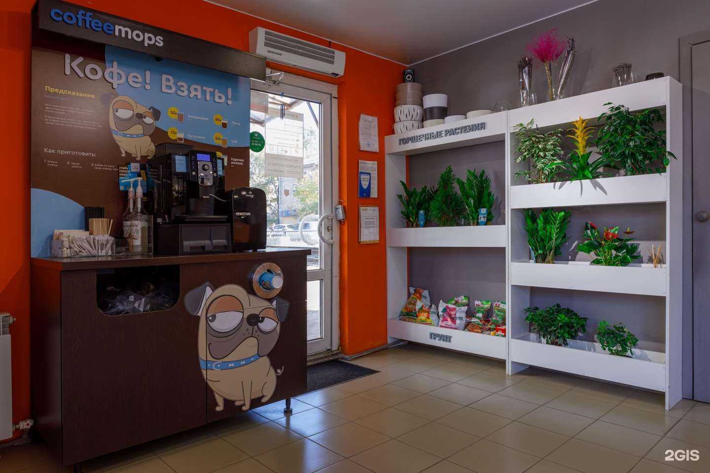 Отзывы на компанию Экспресс Букет 24 в Саратове c фото