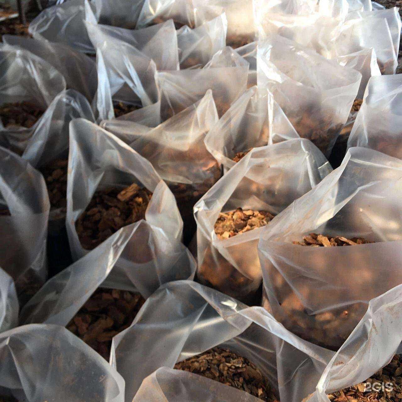 Отзывы на компанию Строймаг в г. Коркино c фото