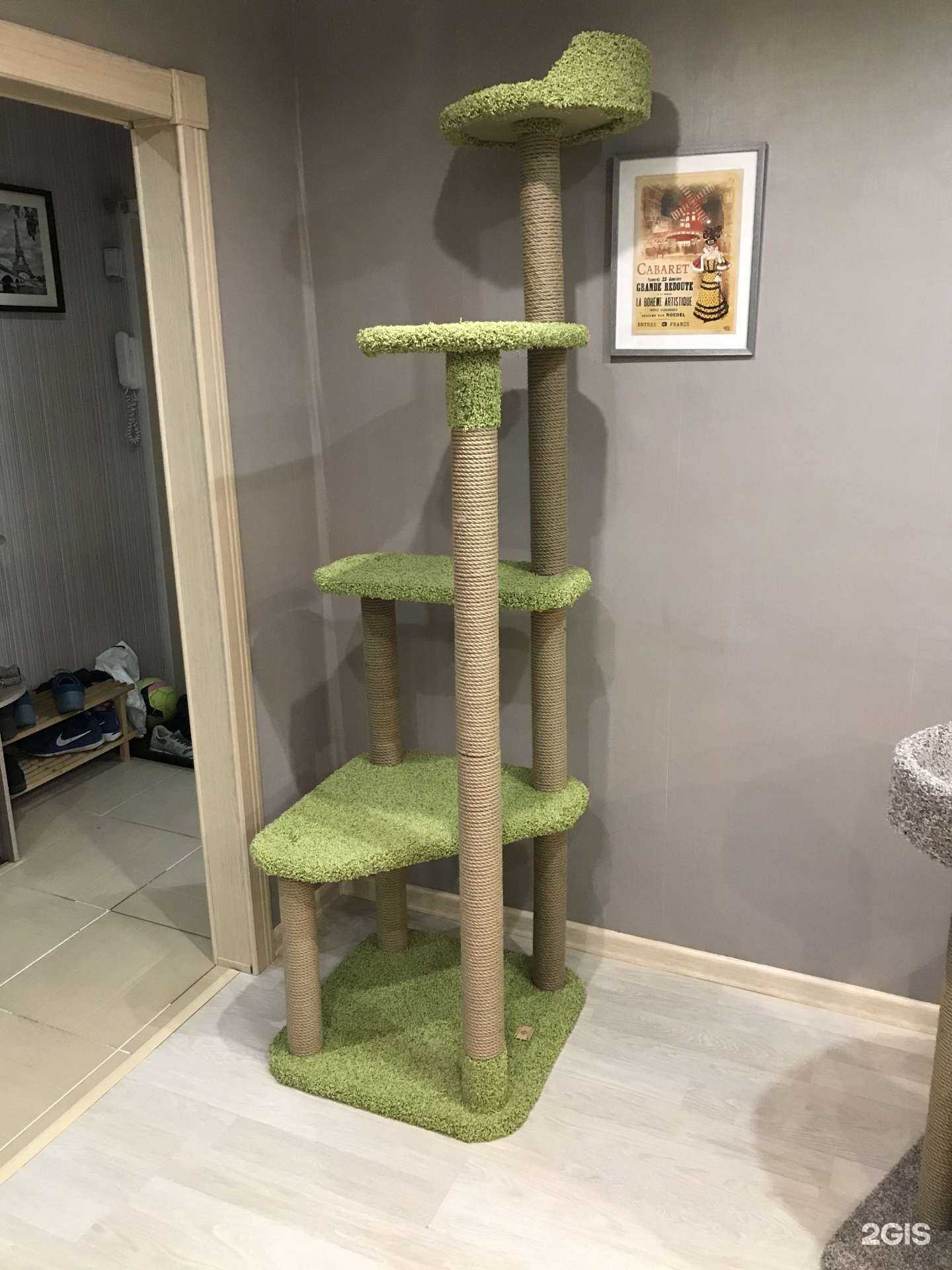 Отзывы на компанию Моя котя в г. Смоленск c фото