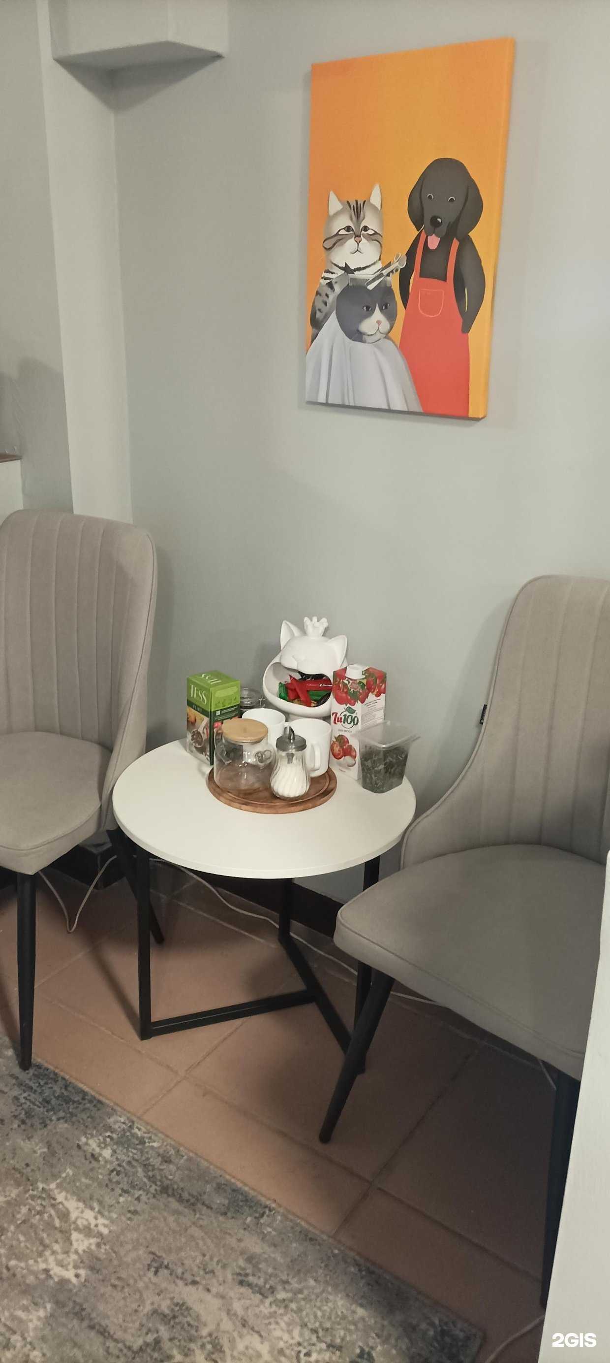 Отзывы на компанию Муррр в Оренбурге c фото