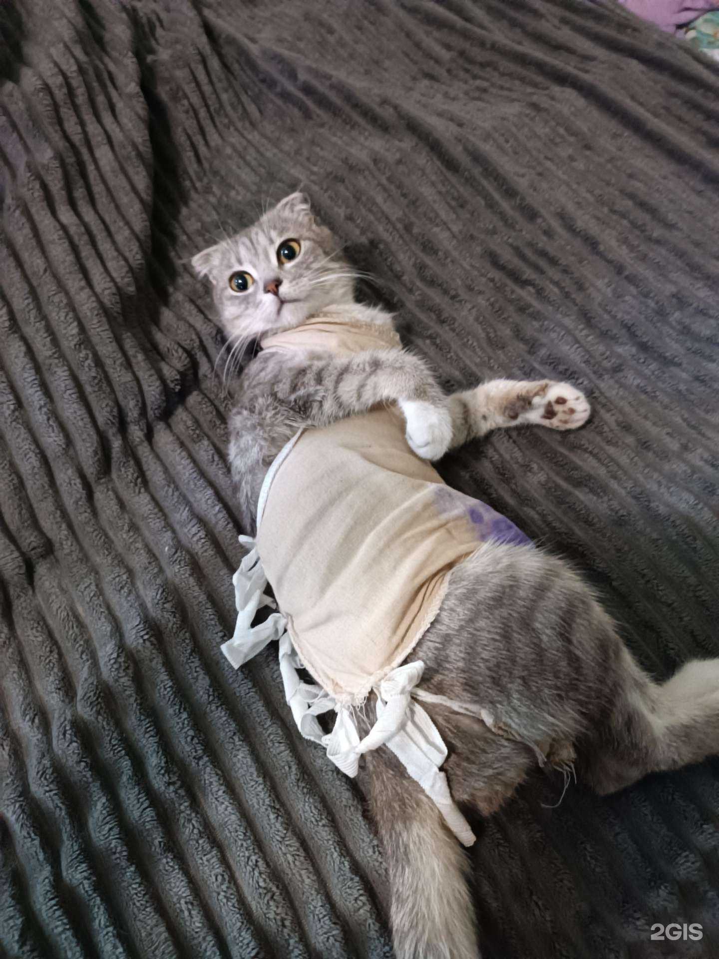 Отзывы на компанию Ласка в г. Барнаул c фото