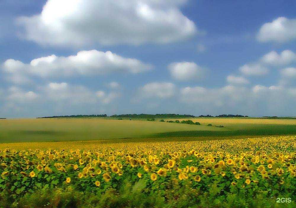 Отзывы на компанию Горбушка в г. Краснодар c фото