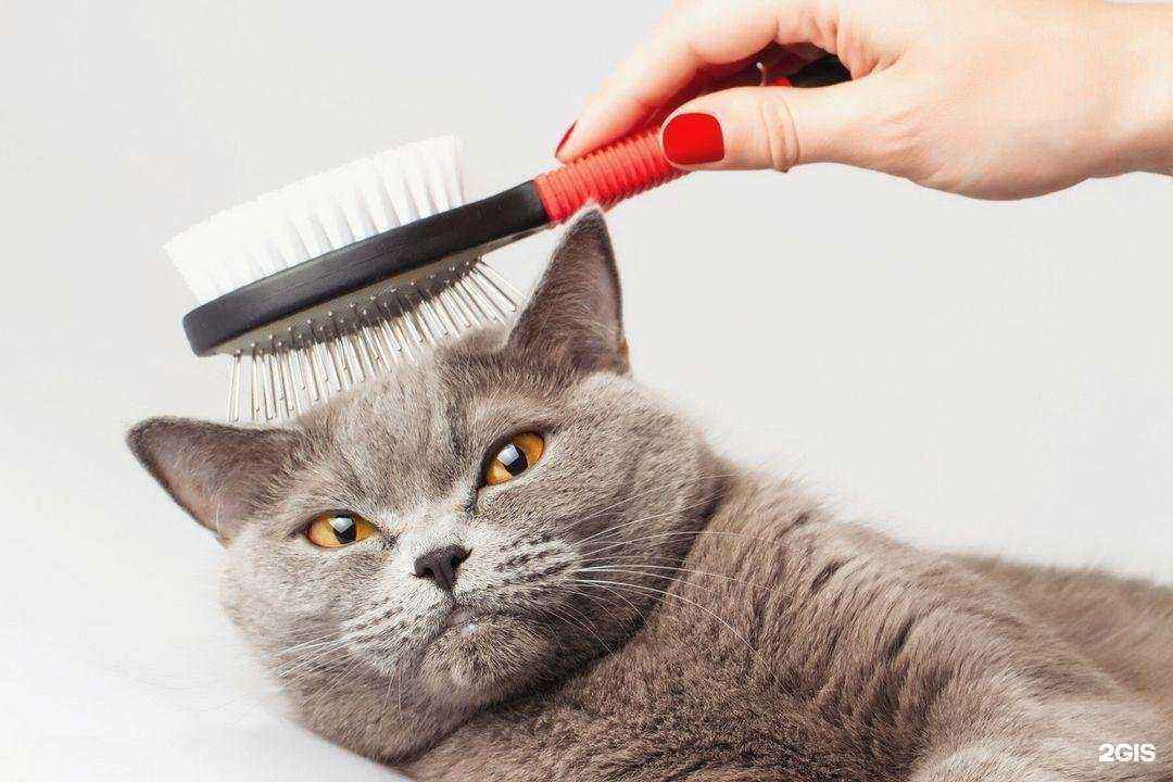 Отзывы на компанию ЗооЛенд в г. Нефтеюганск c фото