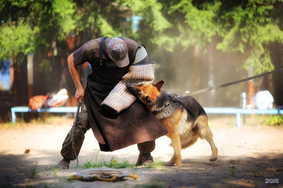 Отзывы на компанию Велес в Брянске c фото