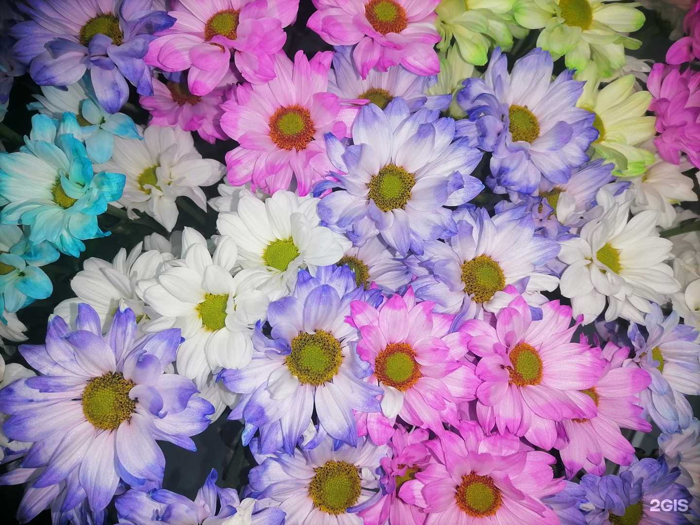 Отзывы на компанию Цветы для любимых в г. Челябинск c фото