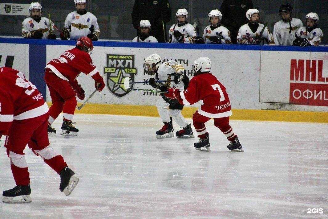 Отзывы на компанию Витязь в г. Чехов c фото