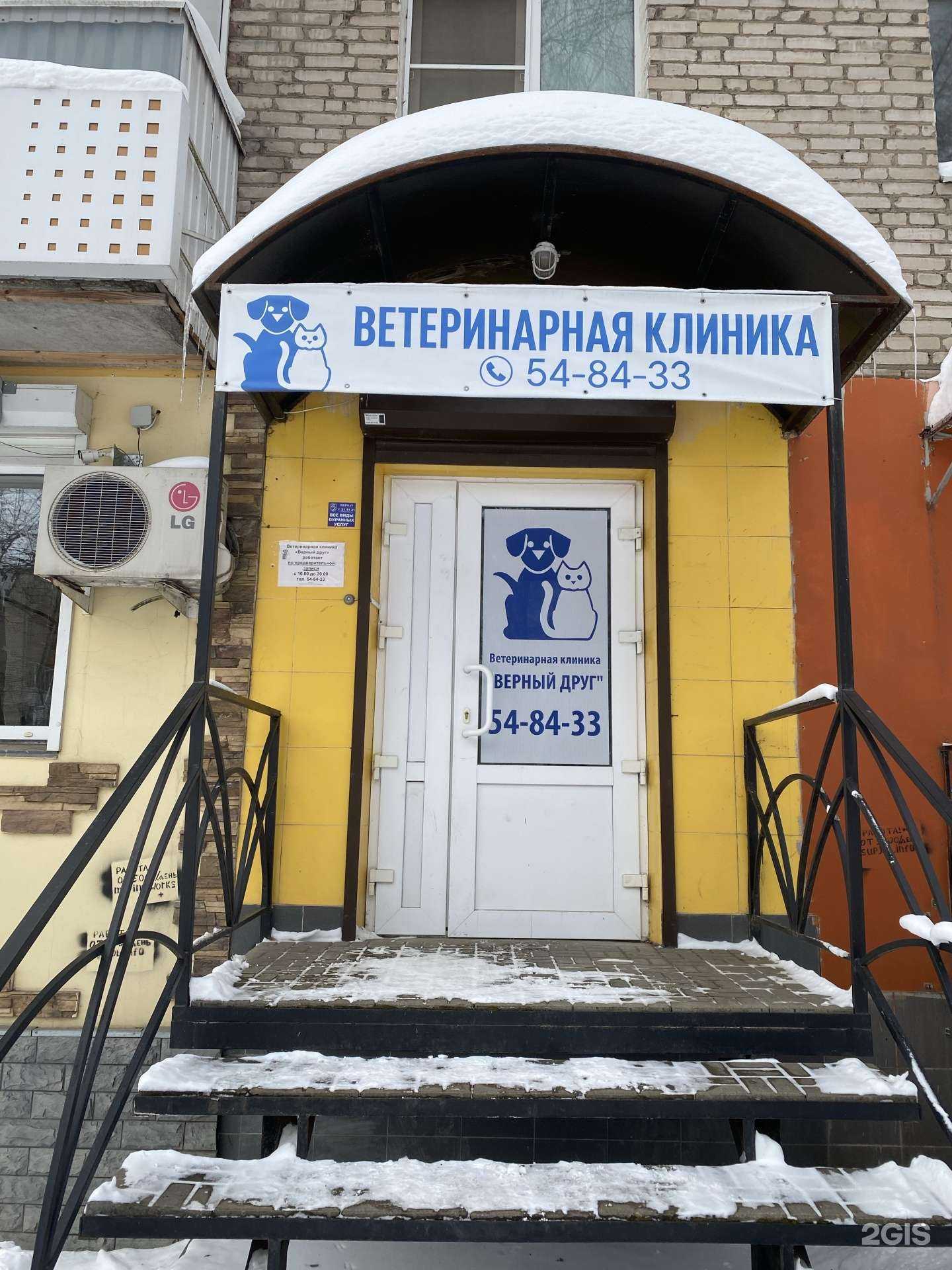 Отзывы на компанию Верный друг в Смоленске c фото