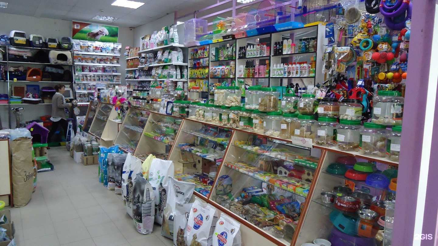 Отзывы на компанию Zoomarket в Череповце c фото