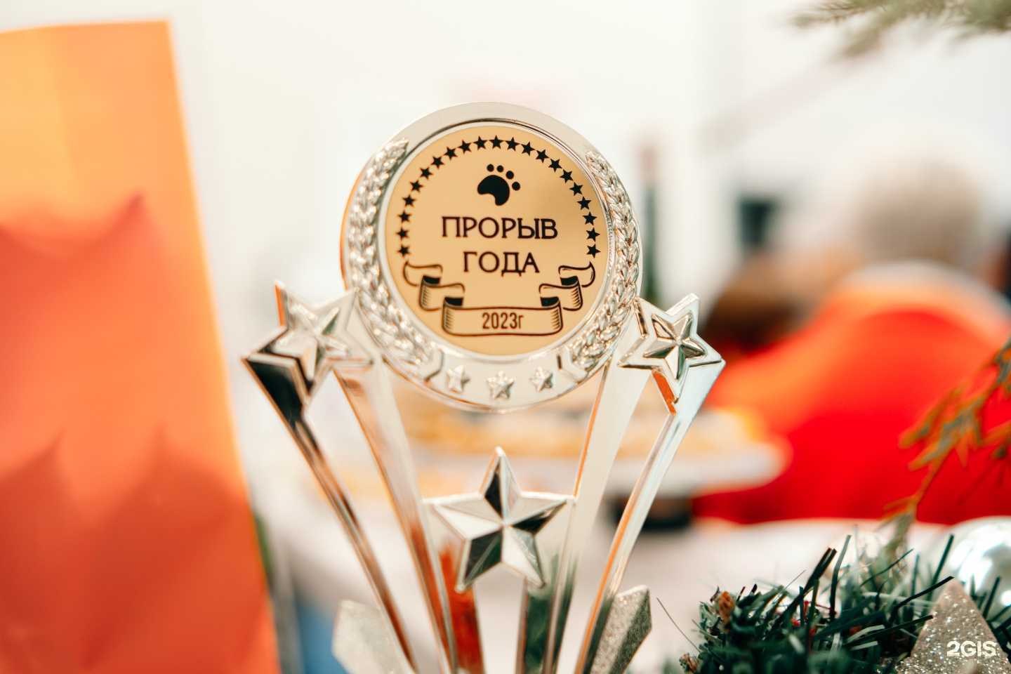 Отзывы на компанию Рыжебок в г. Оренбург c фото