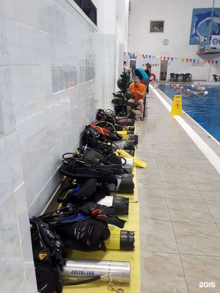 Отзывы на компанию Времянырять в г. Новосибирск c фото