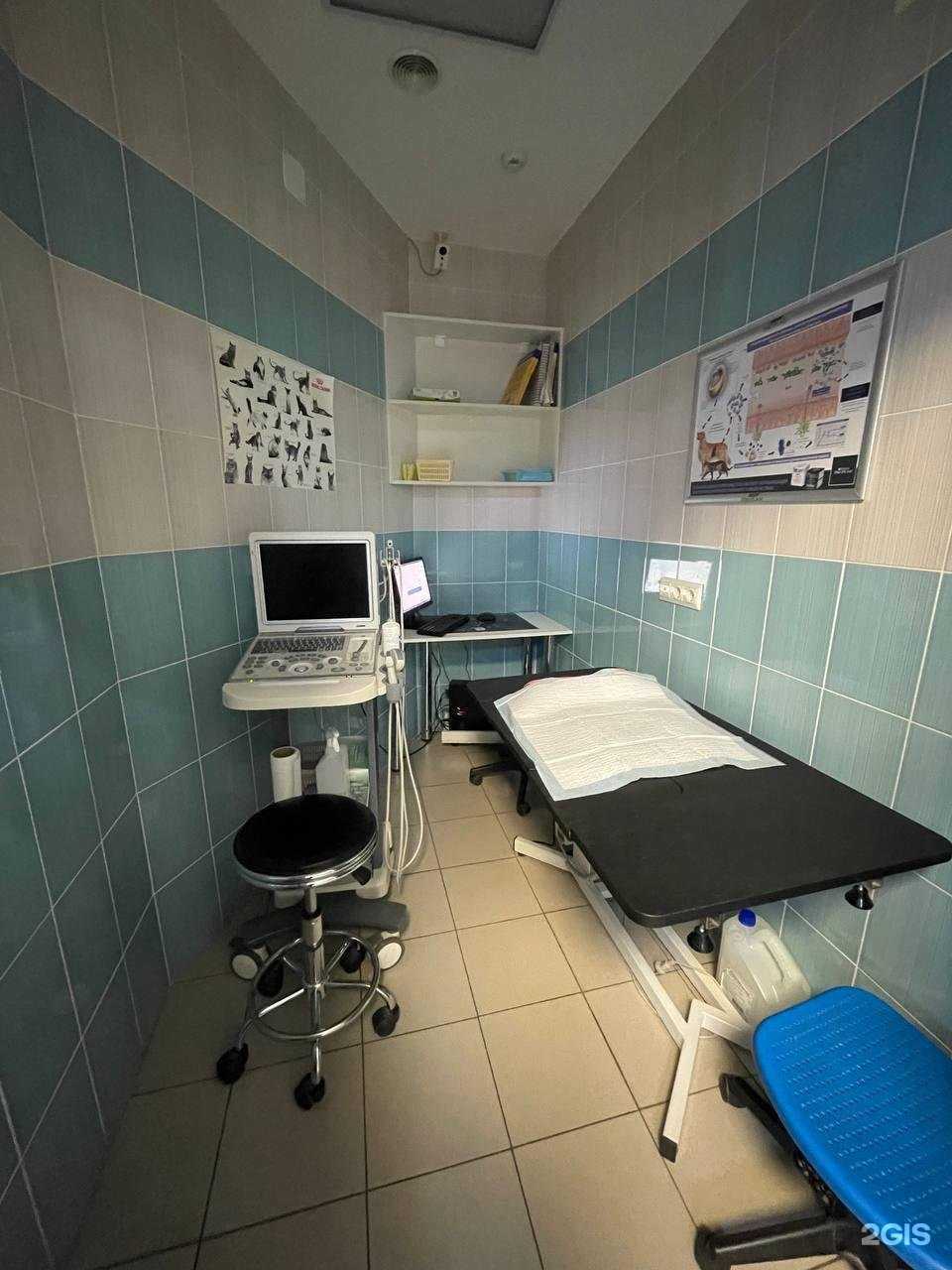 Отзывы на компанию Ветеринарная клиника доктора Чулковой Г.Б. в г. Волгоград c фото