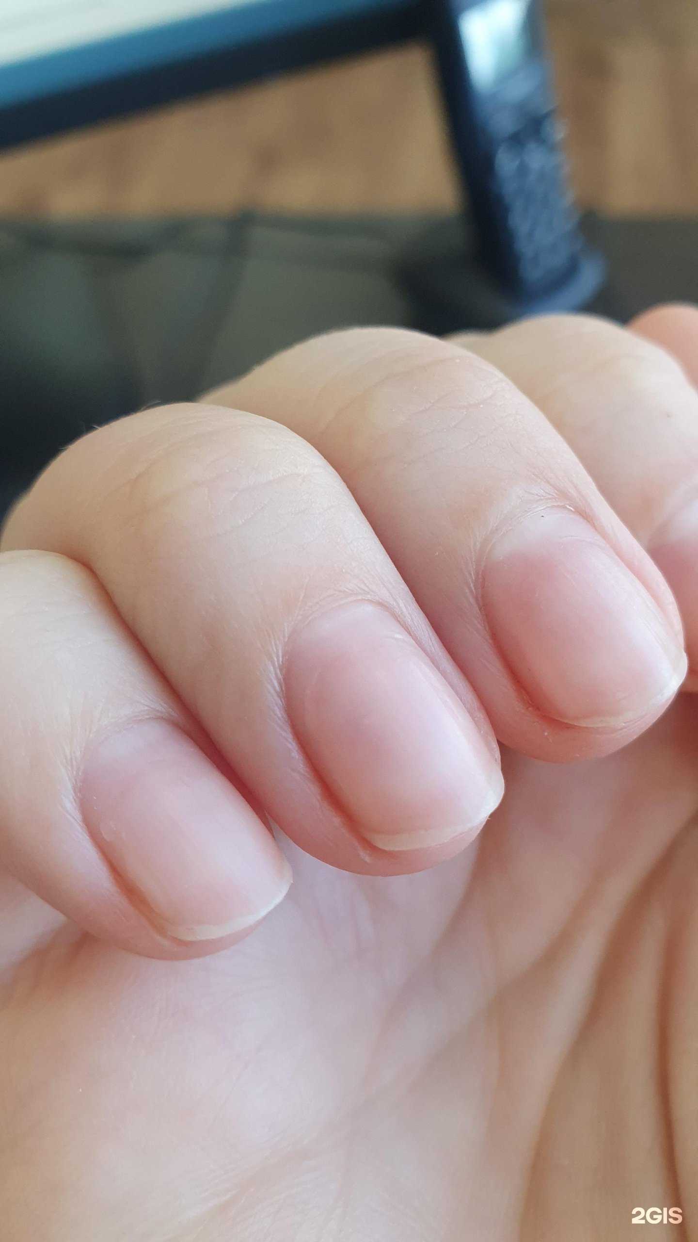 Отзывы на компанию Богема в Арсеньеве c фото