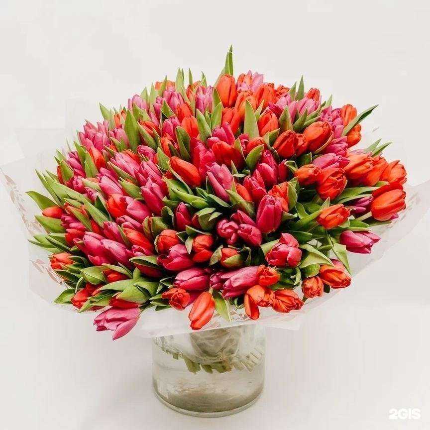 Отзывы на компанию FLOraОПТ в Новосибирске c фото