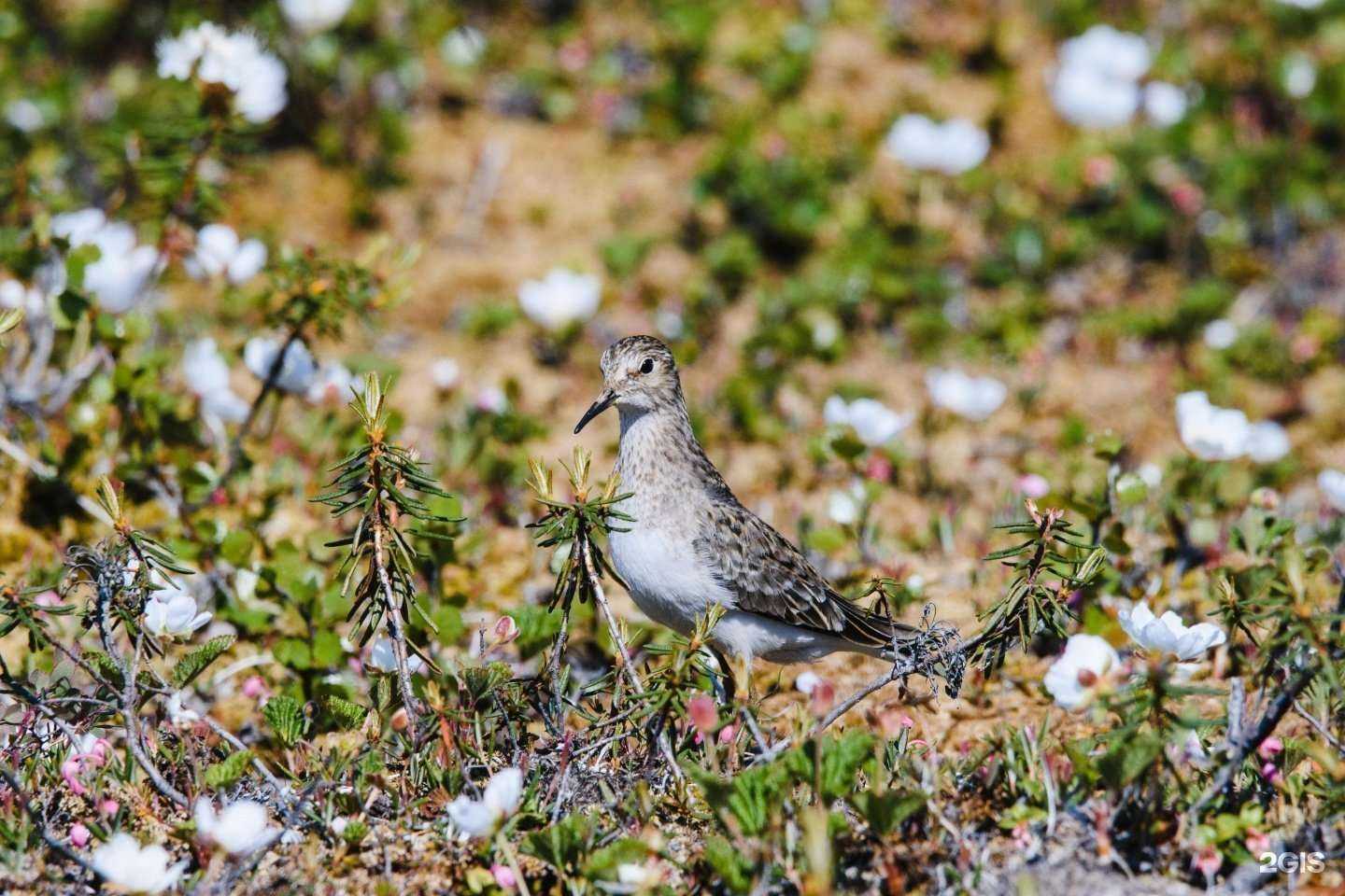 Отзывы на компанию Растам в Тюмени c фото