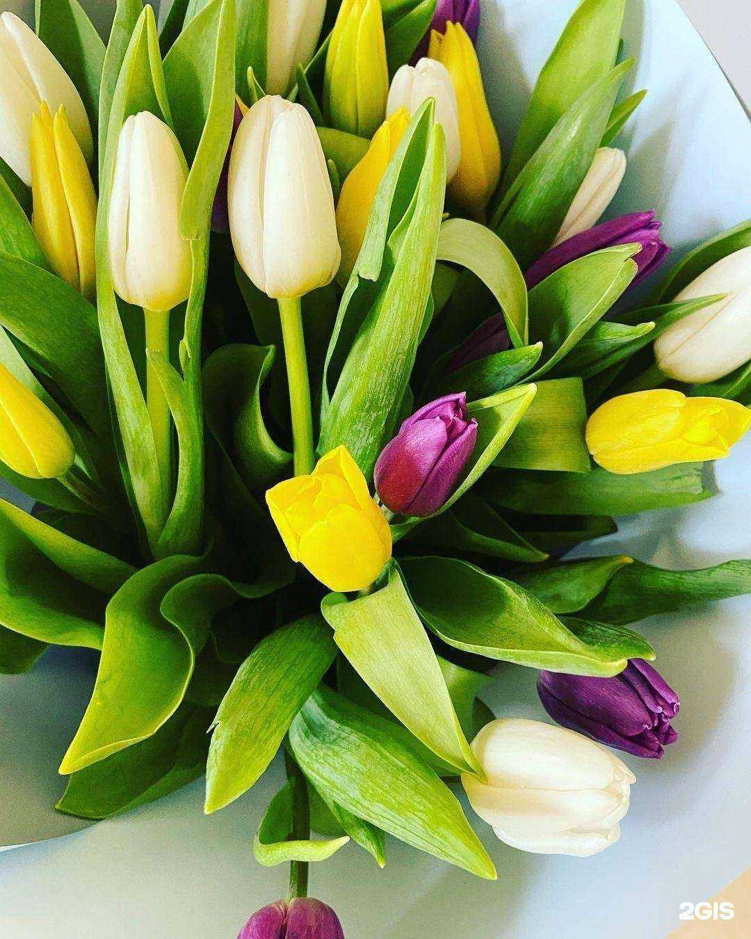 Отзывы на компанию Селектив в Белгороде c фото