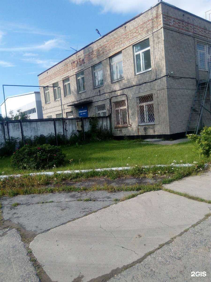 Отзывы на компанию Абсoлют в Новосибирске c фото