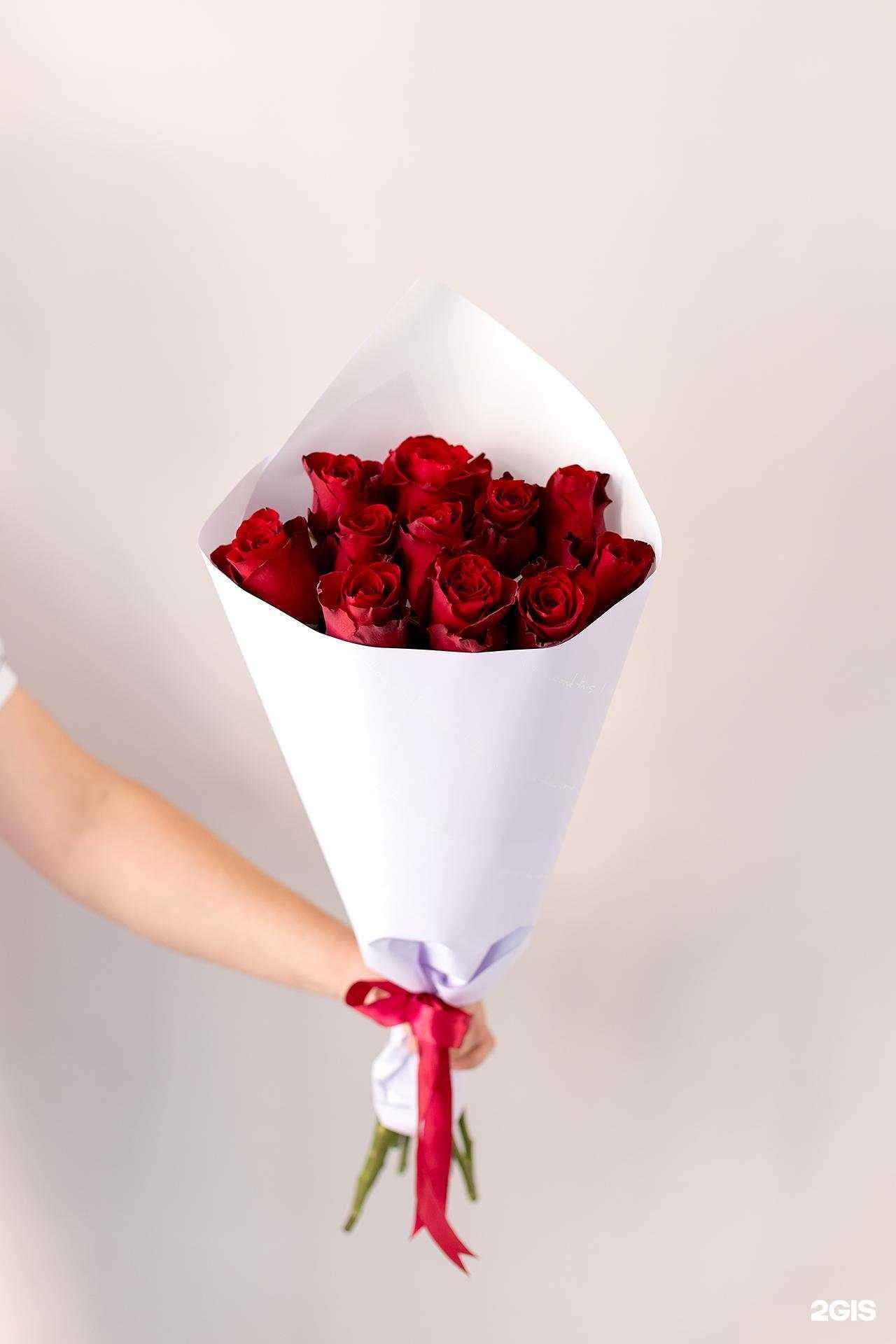 Отзывы на компанию Pionovna в Самаре c фото