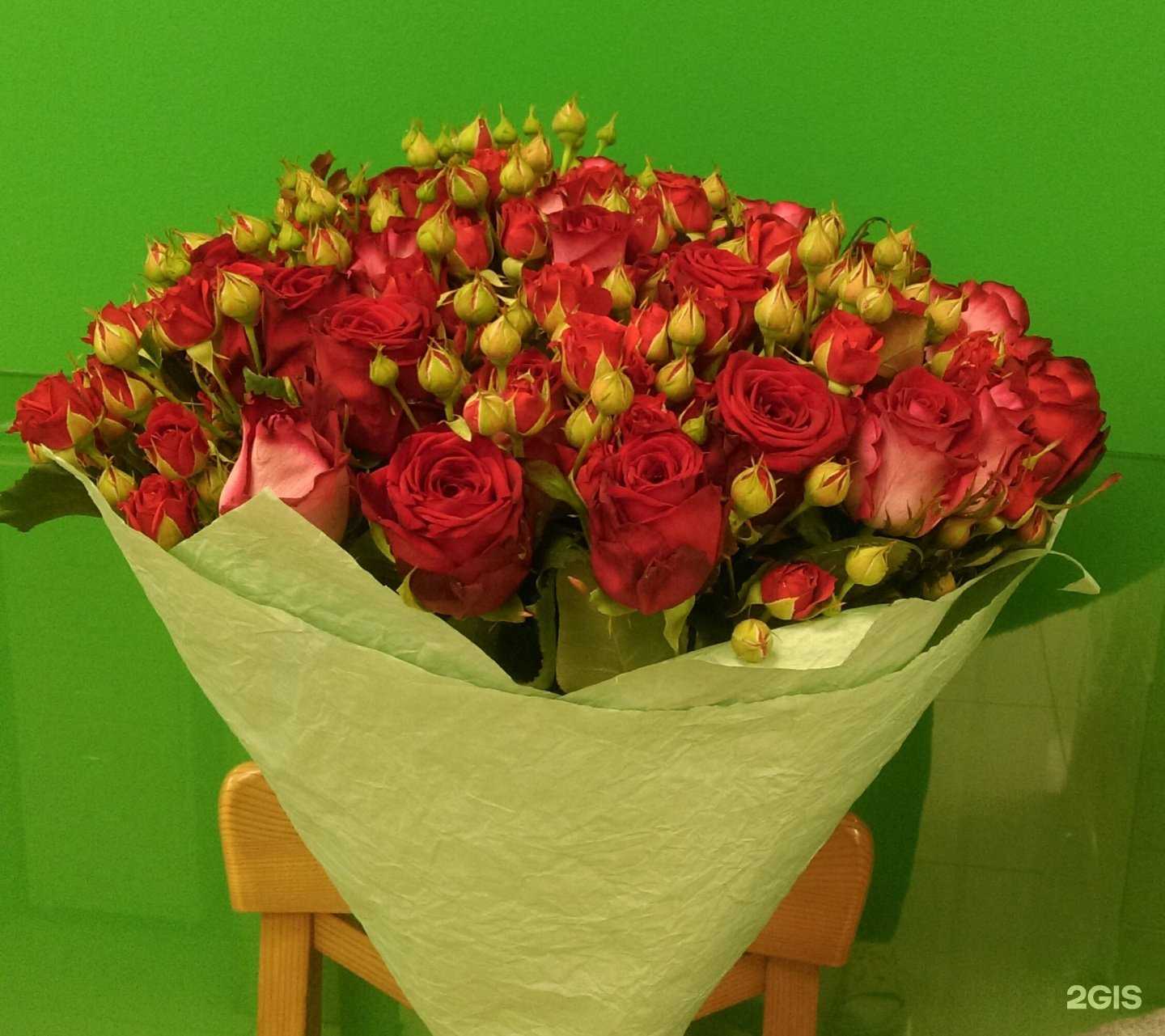 Отзывы на компанию Розы Белогорья в Белгороде c фото