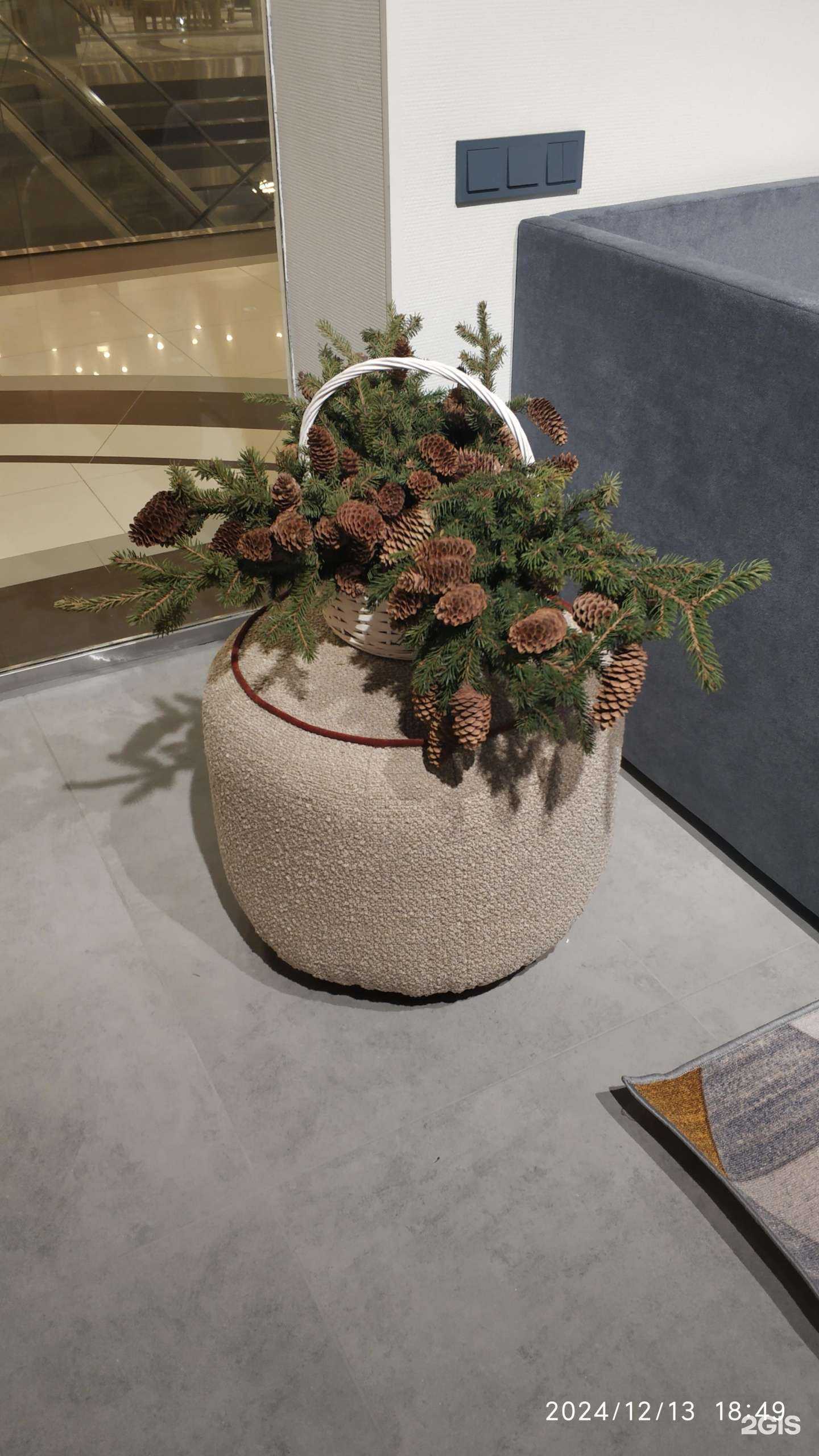 Отзывы на компанию Нега в г. Екатеринбург c фото