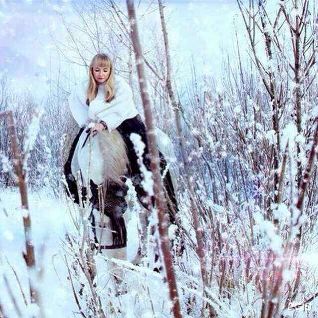 Отзывы на компанию Пегас в г. Нижневартовск c фото