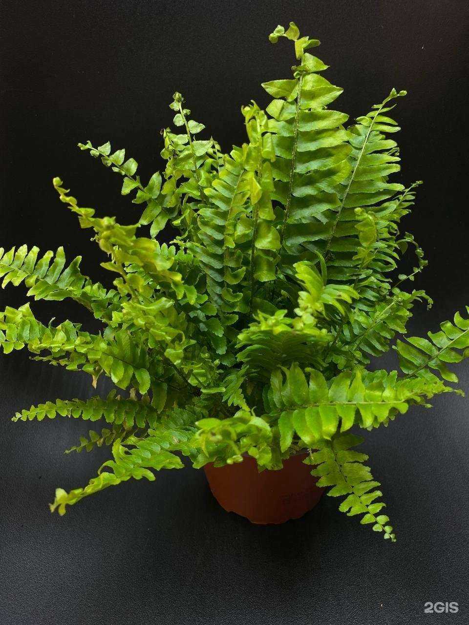 Отзывы на компанию Art Home Studio в Вихоревке c фото